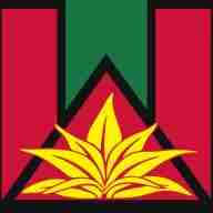 Prodigal Health logo