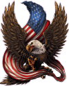 Next American Jackets logo
