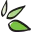 Herbal Magic logo