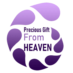 preciousgiftfromheaven.com logo