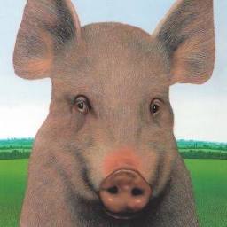A Zanimals logo