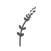 Chateaudusavon logo