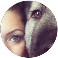 Dogsofpegasus logo