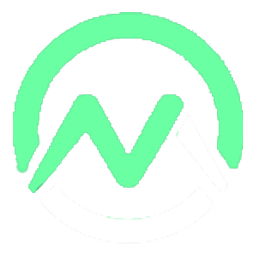 National Moves & Storage logo