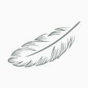 Turtle Doves logo