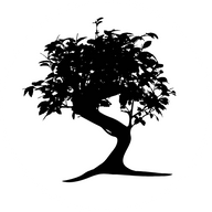 Bonsai Aromatherapy logo