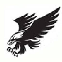 eagleminicabs.co.uk logo
