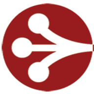 Central IT logo