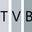 Thevanbuild logo