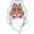 Guru Internet Services logo