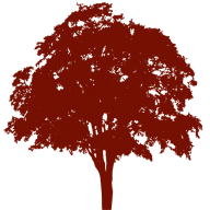 Platinumgardendesign logo