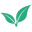 VESA logo