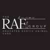 The RAF Group logo