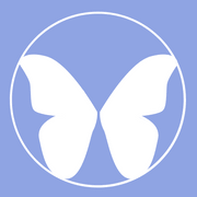 thebeautifulnomad.com logo