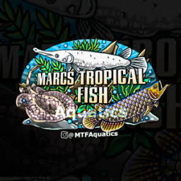 MTF AQUATICS LTD logo