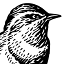 mihounexpectedshop.com logo