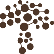 Real Mushrooms logo