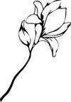 Finestems logo