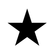 Ron Jons Surf Shop logo
