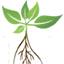 Japanese Knotweed Agency logo