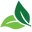 Tryvanera logo