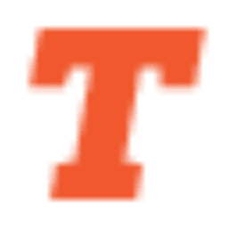 Tile Master - Wood Stone & Tile Floor Cleaning logo
