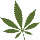 BC Bud Supply logo