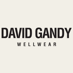David Gandy Wellwear logo