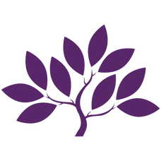 Mulberry Park Silks logo