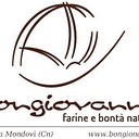 Molinobongiovanni logo