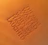 FizzArrow Handmade Leather Goods logo