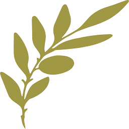 Ionian Weddings Ltd. logo