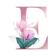 Eclaircake logo