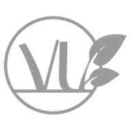 Vision Landscapers logo