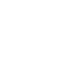 Arenatop100 logo