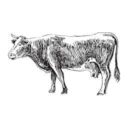 Organicbutchery logo