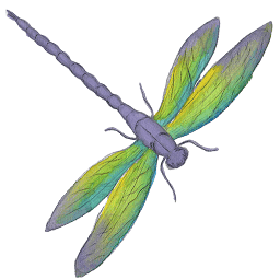 Fromdragontodragonfly logo