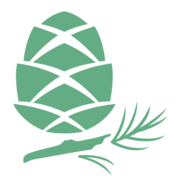 Thealpinegeneration logo