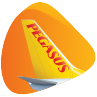 Pegasus Airlines logo