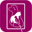 Mulberryvets logo