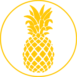 Ananas Media logo