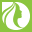 ARGAN ESSENCES logo