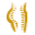 Liposuction logo