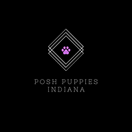 poshpuppiesindiana.com logo