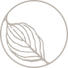 Elä Life logo