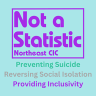 Not A Statistic Northeast CIC logo