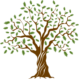 Oak Lane Cleaning Company logo