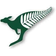 Cazna Australia Pty Ltd logo