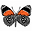 Callicore logo