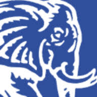 Pink Elephant EMEA logo